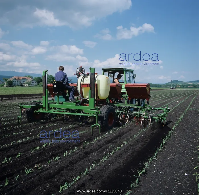 : Prototype machine for maize cultivation : Prototype machine for maize cultivation