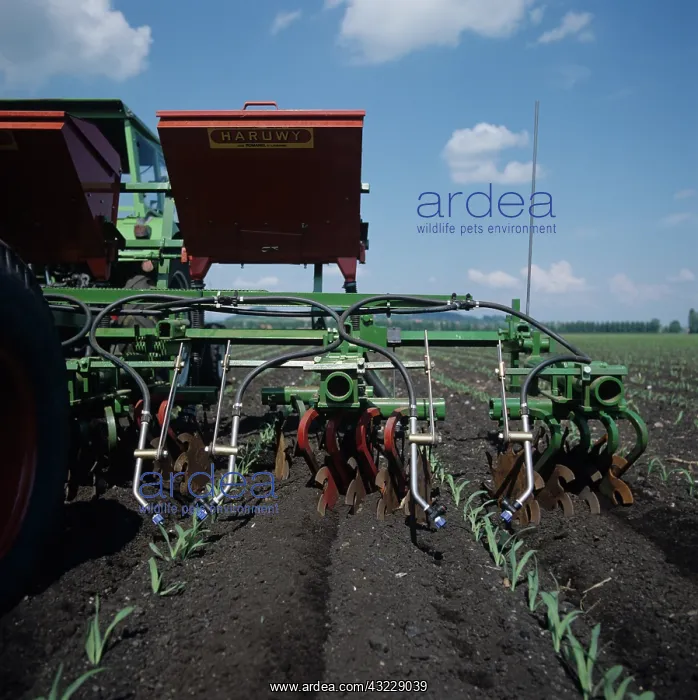 : Prototype machine for maize interrow cultivation : Prototype machine for maize interrow cultivation