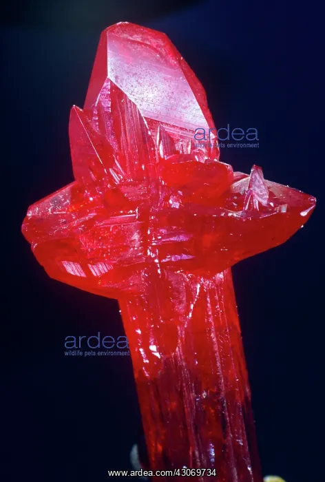 : Proustite from Chanarcillo, Chile : Proustite from Chanarcillo, Chile