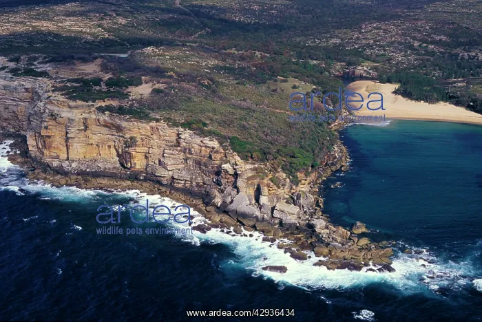 : Providence Cove. Wattamolla, .Royal National Park : Providence Cove. Wattamolla, .Royal National Park