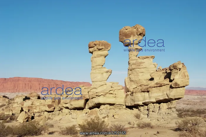 : Province San Juan, submarine stone formation : Province San Juan, submarine stone formation