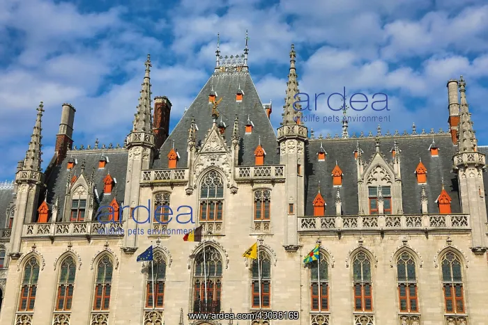 : The Provinciaal Hof or Province Court, a Neogothic : The Provinciaal Hof or Province Court, a Neogothic