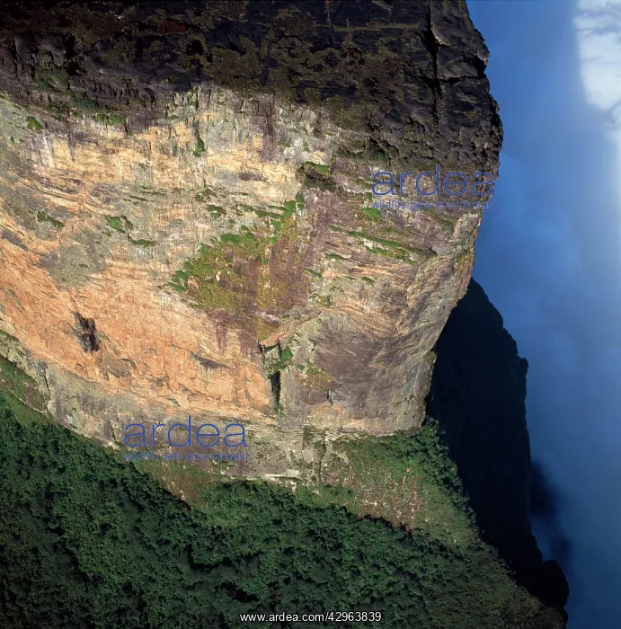 : the prow of Mount Roraima (Cerro Roraima), northern : the prow of Mount Roraima (Cerro Roraima), northern