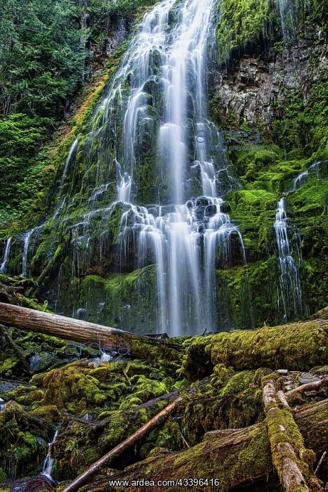  : Proxy Falls in Oregon