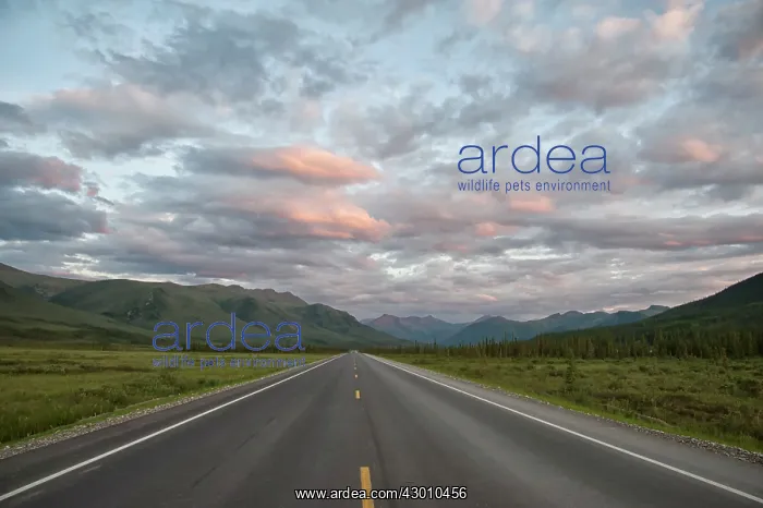 : Prudhoe Bay Road / Dalton Highway which crosses : Prudhoe Bay Road / Dalton Highway which crosses