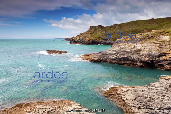  : Prussia Cove