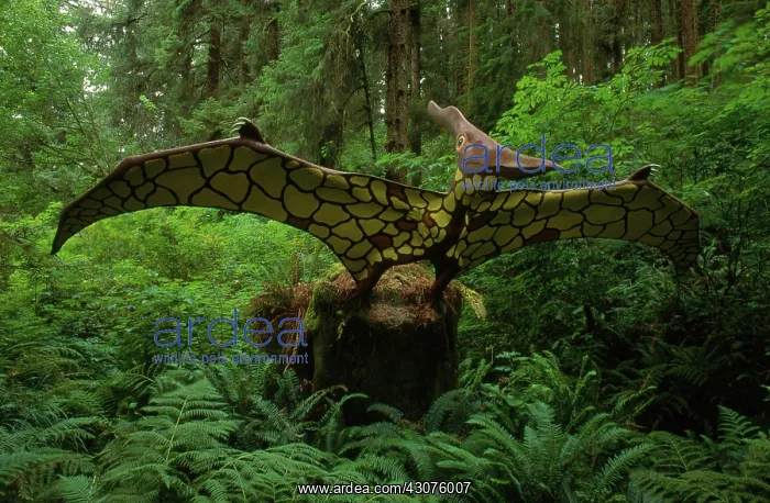 : Pteranodon : Pteranodon