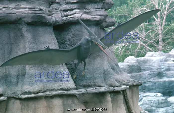 : Pterosaur from the Mesozoic Era in Calgary Zoo's Prehistoric Park : Pterosaur from the Mesozoic Era in Calgary Zoo's Prehistoric Park