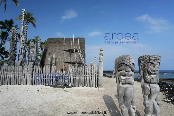 : Pu&, x2bb;uhonua o H&, x14d;naunau National Historical : Pu&, x2bb;uhonua o H&, x14d;naunau National Historical