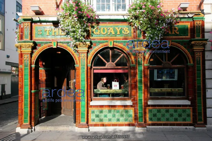 : Pub at Temple Bar district, Dublin, Leinster : Pub at Temple Bar district, Dublin, Leinster