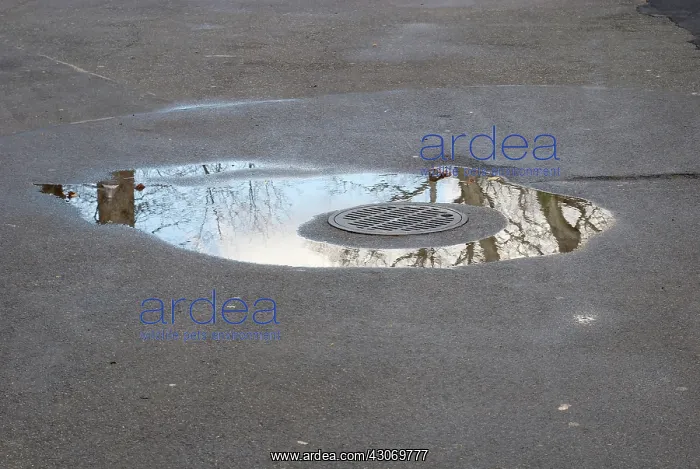 : Puddle after Rain : Puddle after Rain