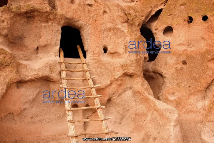 : Pueblo Ruins - cave dwelling in Frijoles Canyon : Pueblo Ruins - cave dwelling in Frijoles Canyon