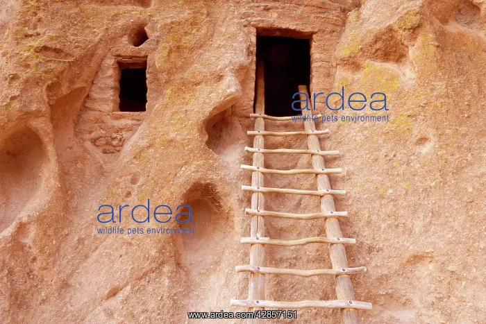 : Pueblo Ruins - cave dwelling in Frijoles Canyon : Pueblo Ruins - cave dwelling in Frijoles Canyon