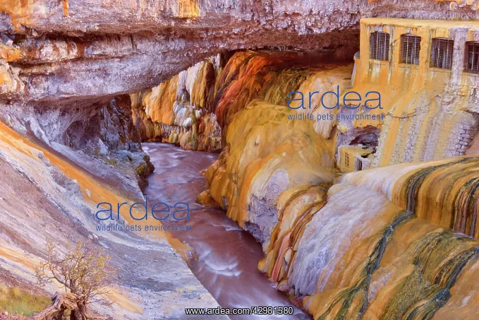  : Puente del Inca - natural rock bridge