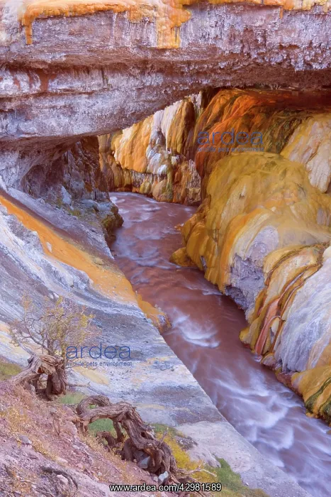 : Puente del Inca - natural rock bridge : Puente del Inca - natural rock bridge