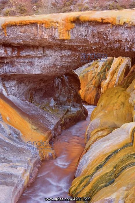 : Puente del Inca - natural rock bridge : Puente del Inca - natural rock bridge