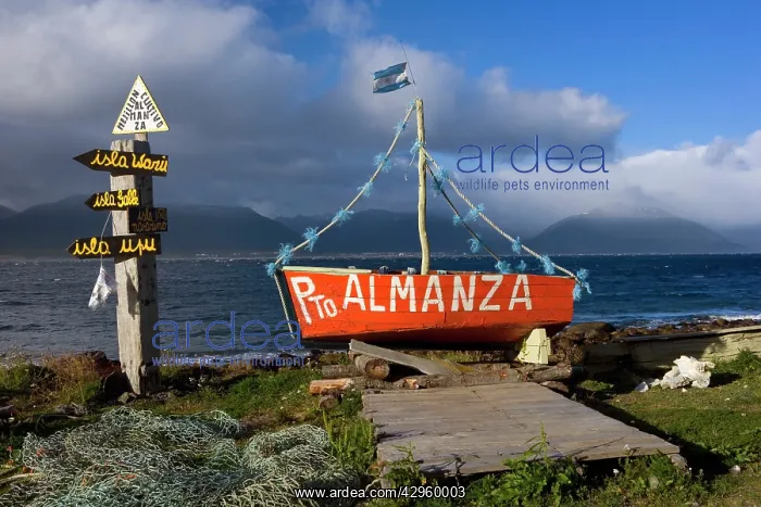 : Puerto Almanza - a wooden fisherman's boat as unusual : Puerto Almanza - a wooden fisherman's boat as unusual