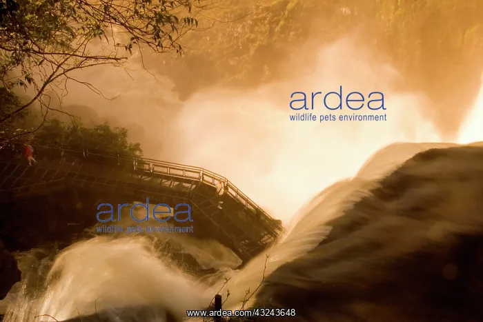 : Puerto Iguazu, Argentina. The breathtaking : Puerto Iguazu, Argentina. The breathtaking