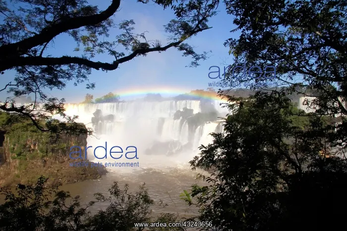 : Puerto Iguazu, Argentina. The breathtaking : Puerto Iguazu, Argentina. The breathtaking