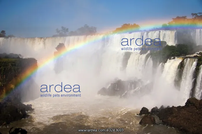 : Puerto Iguazu, Argentina. The breathtaking : Puerto Iguazu, Argentina. The breathtaking