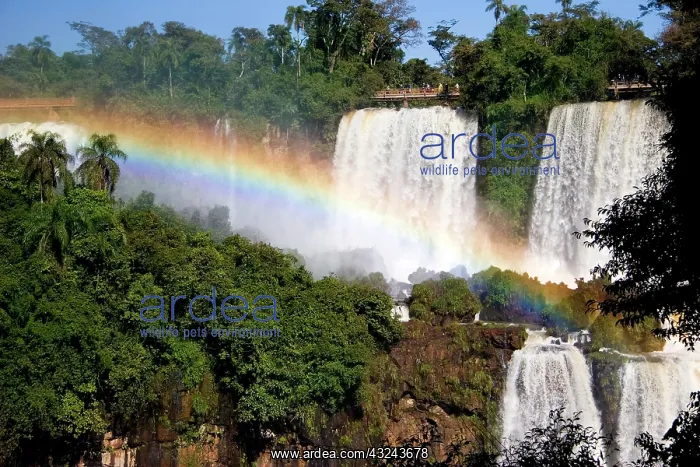 : Puerto Iguazu, Argentina. The breathtaking : Puerto Iguazu, Argentina. The breathtaking