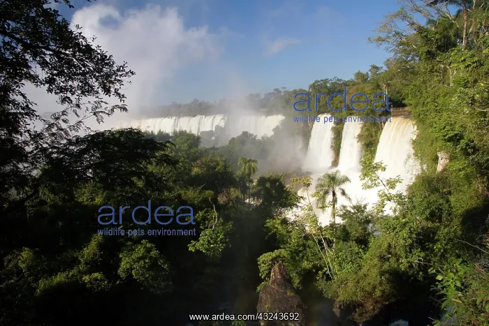 : Puerto Iguazu, Argentina. The breathtaking : Puerto Iguazu, Argentina. The breathtaking