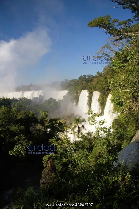 : Puerto Iguazu, Argentina. The breathtaking : Puerto Iguazu, Argentina. The breathtaking