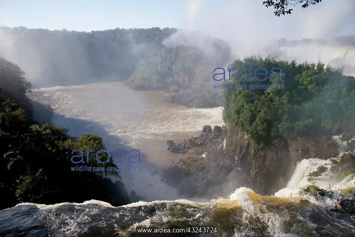 : Puerto Iguazu, Argentina. The breathtaking : Puerto Iguazu, Argentina. The breathtaking