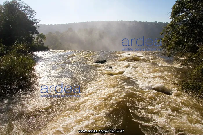 : Puerto Iguazu, Argentina. The breathtaking : Puerto Iguazu, Argentina. The breathtaking