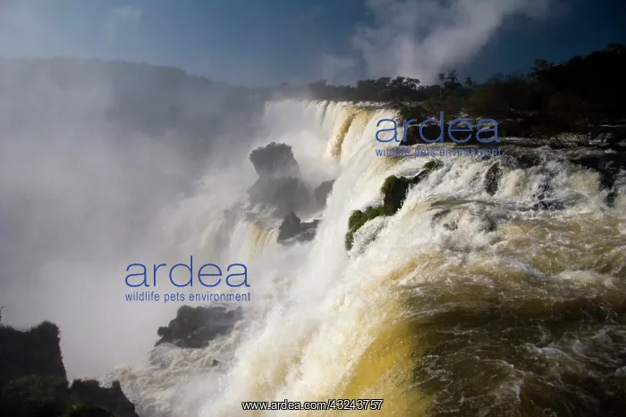 : Puerto Iguazu, Argentina. The breathtaking : Puerto Iguazu, Argentina. The breathtaking