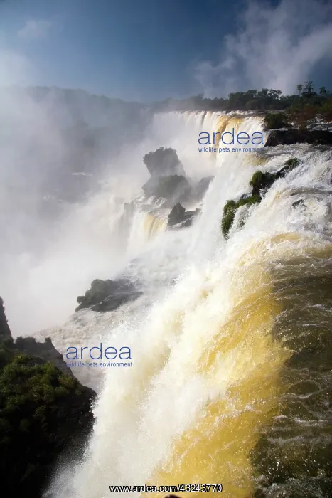 : Puerto Iguazu, Argentina. The breathtaking : Puerto Iguazu, Argentina. The breathtaking