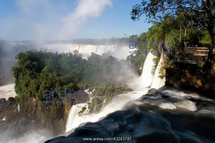 : Puerto Iguazu, Argentina. The breathtaking : Puerto Iguazu, Argentina. The breathtaking