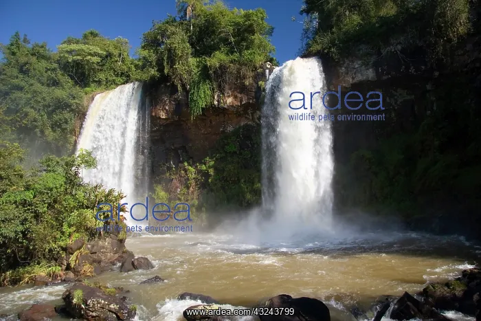 : Puerto Iguazu, Argentina. The breathtaking : Puerto Iguazu, Argentina. The breathtaking