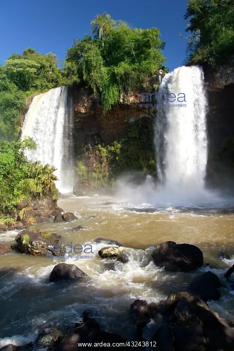 : Puerto Iguazu, Argentina. The breathtaking : Puerto Iguazu, Argentina. The breathtaking