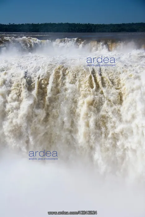 : Puerto Iguazu, Argentina. The breathtaking : Puerto Iguazu, Argentina. The breathtaking