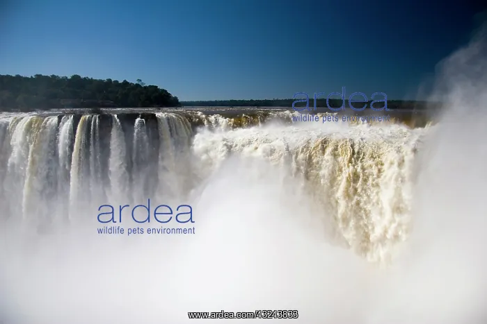 : Puerto Iguazu, Argentina. The breathtaking : Puerto Iguazu, Argentina. The breathtaking