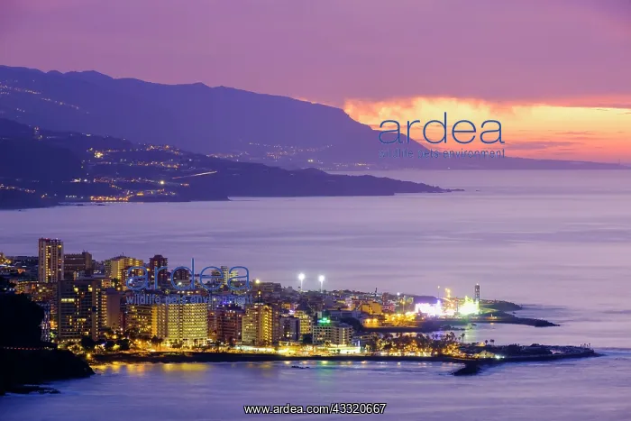 : Puerto de la Cruz, evening, Tenerife, Canary Islands : Puerto de la Cruz, evening, Tenerife, Canary Islands