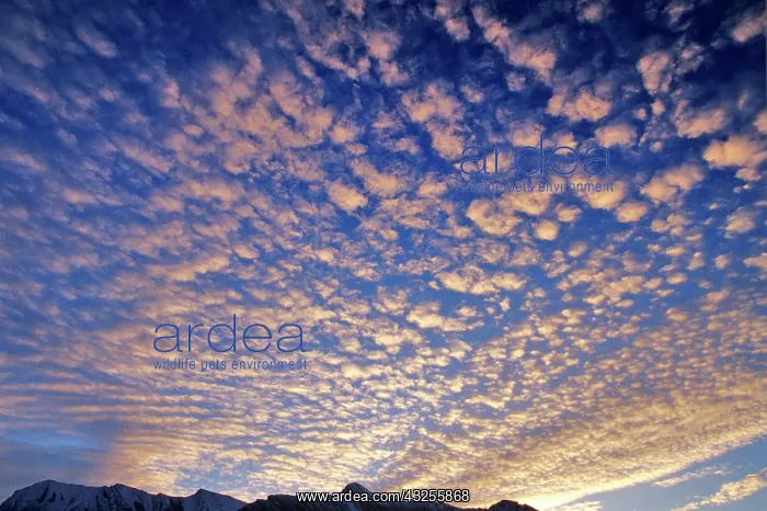 : Puffy clouds at sunrise the Canadian Rockies : Puffy clouds at sunrise the Canadian Rockies