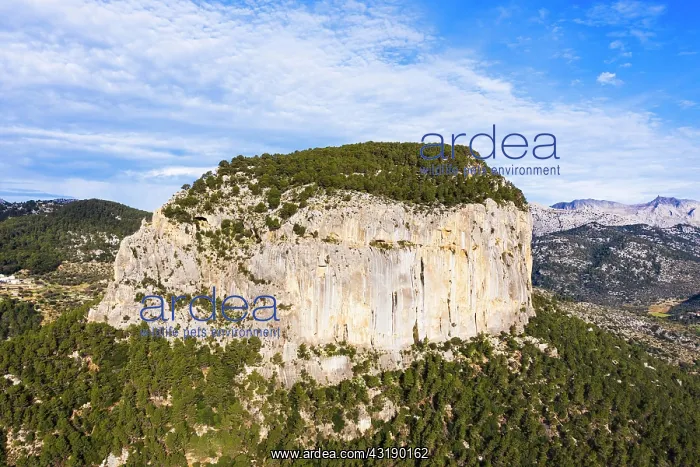 : Puig d'Alaro, near Alaro, Serra de Tramuntana, aerial : Puig d'Alaro, near Alaro, Serra de Tramuntana, aerial