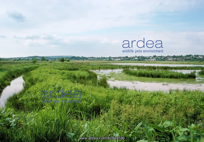  : Pulborough Brooks Nature Reserve (RSPB)