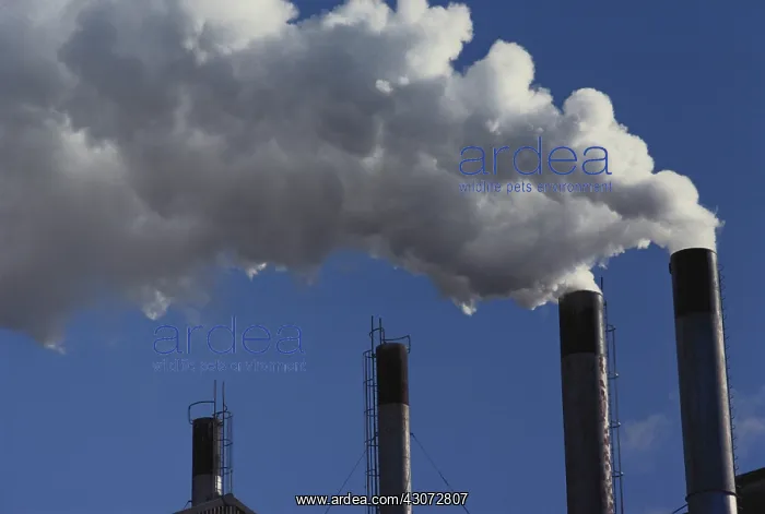 : Pulp & Paper Mill Smoke : Pulp & Paper Mill Smoke