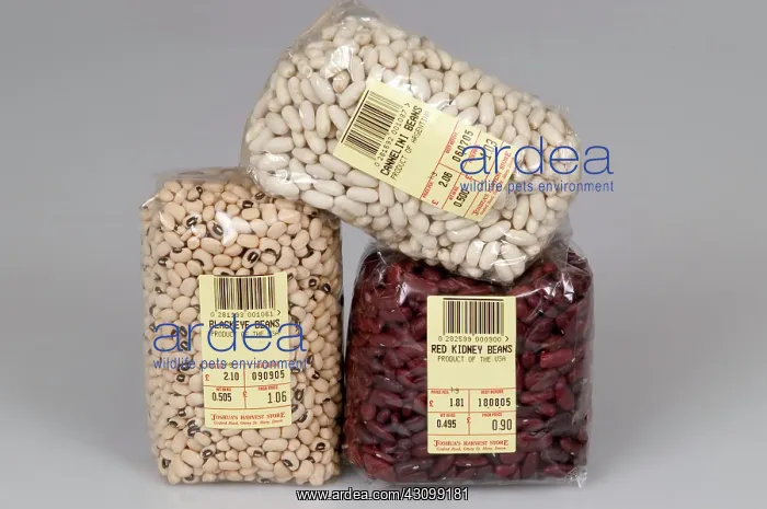 : Pulse Crops : Pulse Crops