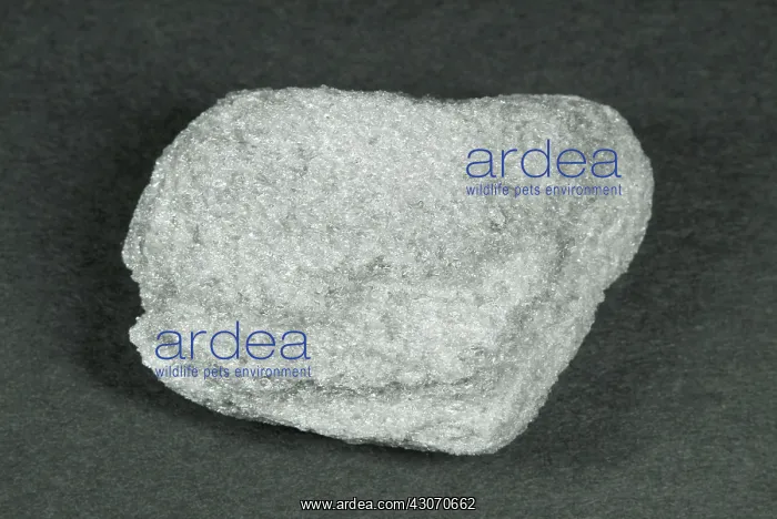 : Pumice. Hand sample of Pumice, a light-colored volcanic : Pumice. Hand sample of Pumice, a light-colored volcanic