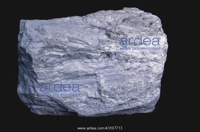 : Pumice from the Lipari Islands, Italy : Pumice from the Lipari Islands, Italy