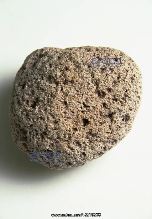 : Pumice, a light-colored volcanic rock. Its texture results : Pumice, a light-colored volcanic rock. Its texture results