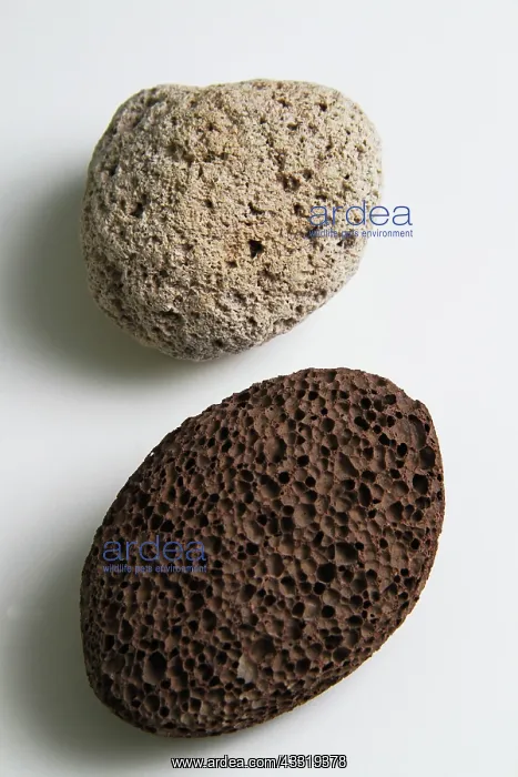 : Pumice. Light and dark colored volcanic rock, also called pumice : Pumice. Light and dark colored volcanic rock, also called pumice