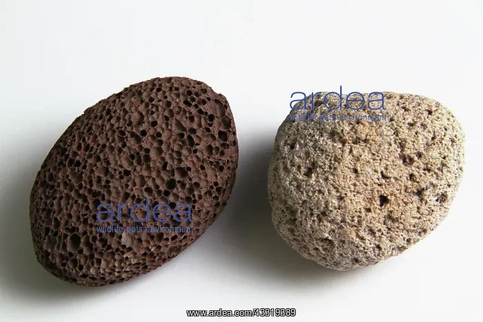 : Pumice. Light and dark colored volcanic rock, also called pumice : Pumice. Light and dark colored volcanic rock, also called pumice