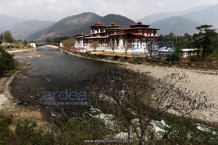 : Punakha temple (Dzong)
