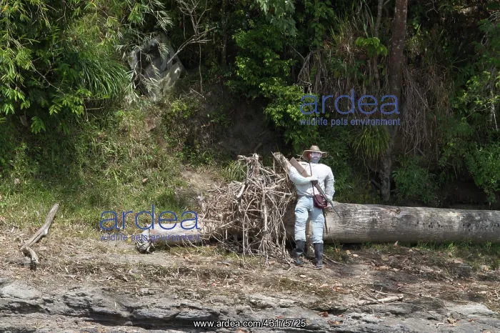 : Puppet guerilla to warn soldiers on the riverbank : Puppet guerilla to warn soldiers on the riverbank