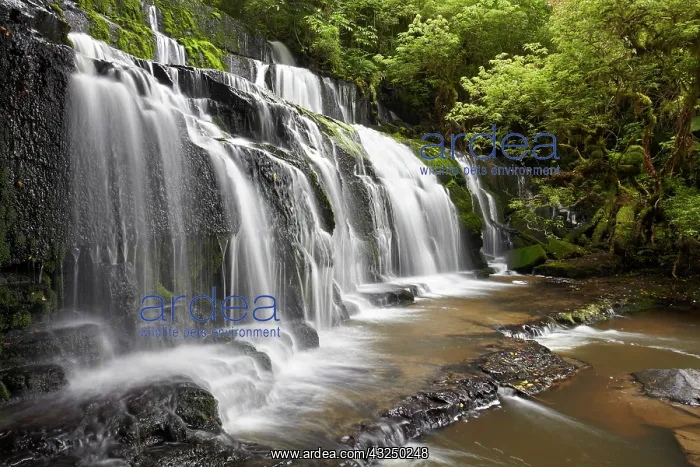 : Purakaunui Falls, Catlins, South Otago : Purakaunui Falls, Catlins, South Otago